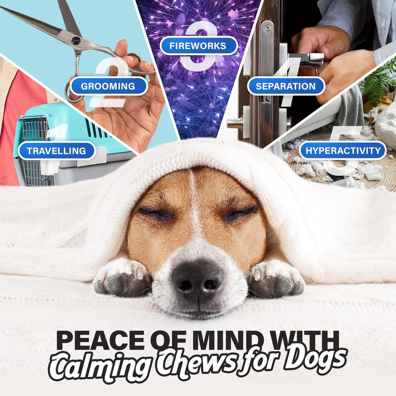 Calming Chews for Dogs Dog Anxiety Relief Promote Relaxation Dog Calming Chews with Melatonin for Dogs Chamomile Magnesium Citrate 90 Soft Chews Chicken Flavor