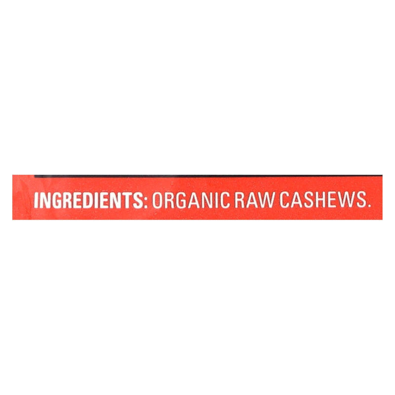 Artisana Organic Raw Cashew Butter - Squeeze Packs - 1.06 Oz - Case Of 10