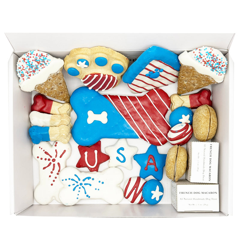 USA Themed Dog Treats Gift Box