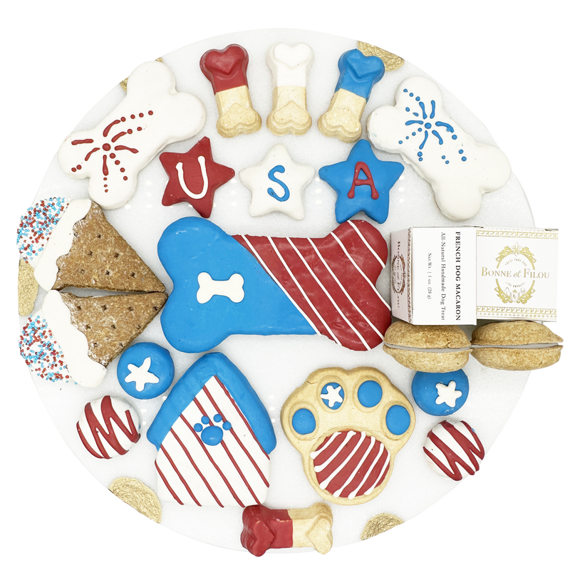 USA Themed Dog Treats Gift Box