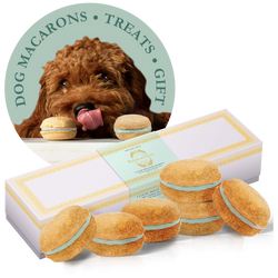 Dog Macarons - Count of 6 (Dog Treats | Dog Gifts)