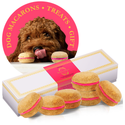 Dog Macarons - Count of 6 (Dog Treats | Dog Gifts)