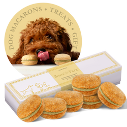 Dog Macarons - Count of 6 (Dog Treats | Dog Gifts)