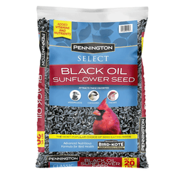 Pennington Select Black Oil Sunflower Seed Dry Wild Bird Feed, 20 lb. Bag